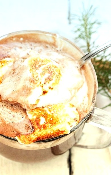 Melted Ice Cream Hot Chocolate with Toasted Marshmallows Seasons And Suppers